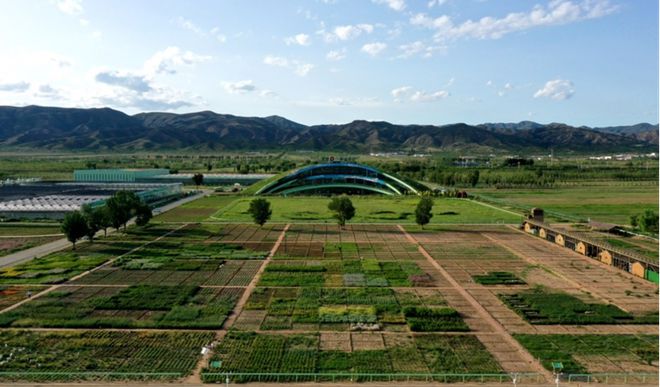 蒙草生態(tài)上市十周年:種業(yè)為本、科研當(dāng)先