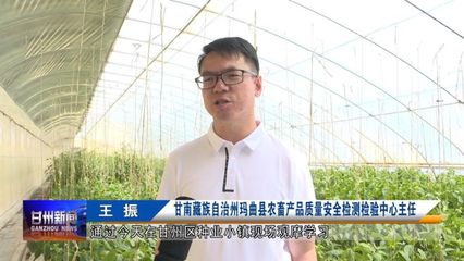 全省農業(yè)社會化服務現(xiàn)場推進會與會人員在我區(qū)觀摩