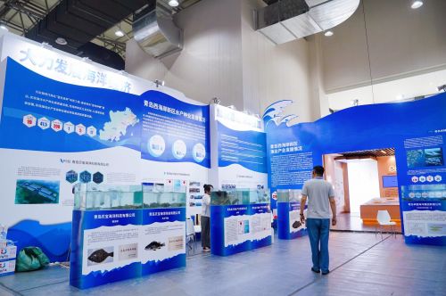 做好 藍色種業(yè) 大文章 西海岸新區(qū)水產企業(yè)亮相2024青島種業(yè)博覽會