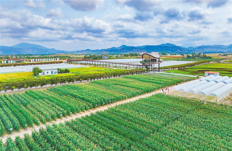 海墾集團(tuán)堅持“項目為王”，多舉措推進(jìn)產(chǎn)業(yè)升級與墾地融合