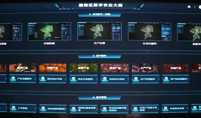 潼南種業(yè)振興行動(dòng) 打造現(xiàn)代農(nóng)業(yè)“芯”動(dòng)力